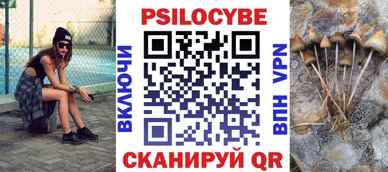 как найти наркотики  Вяземский  omg зеркало  Галлюциногенные грибы Cubensis 